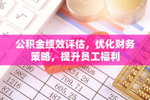 托克托公积金绩效评估，优化财务策略，提升员工福利