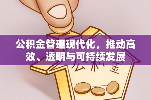 托克托公积金管理现代化，推动高效、透明与可持续发展