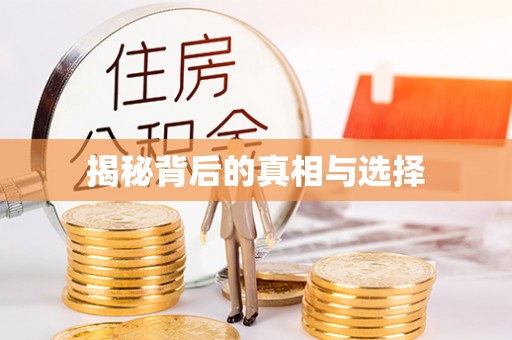 托克托揭秘背后的真相与选择