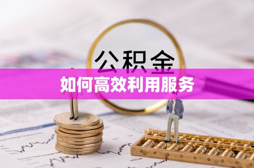 托克托如何高效利用服务