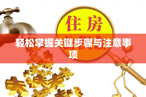 托克托轻松掌握关键步骤与注意事项