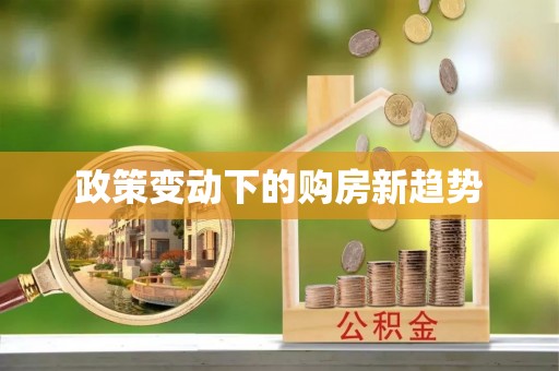 托克托政策变动下的购房新趋势