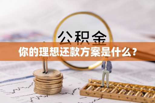 托克托你的理想还款方案是什么？