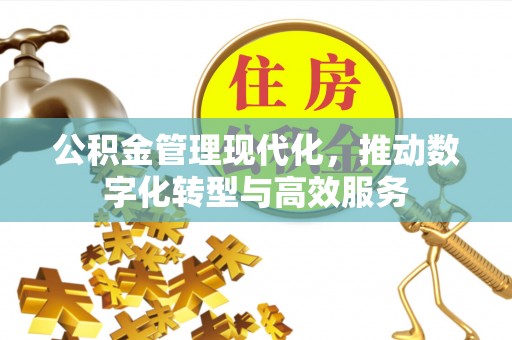 托克托公积金管理现代化，推动数字化转型与高效服务