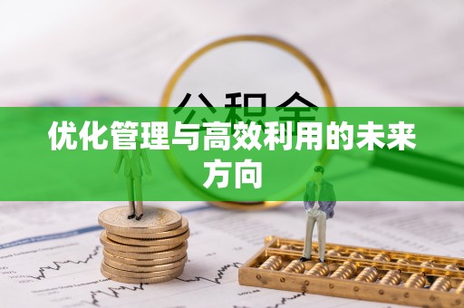 托克托优化管理与高效利用的未来方向