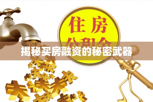 托克托揭秘买房融资的秘密武器