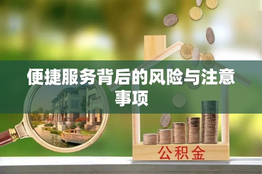 托克托便捷服务背后的风险与注意事项